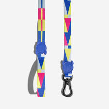 CORREA ZEEDOG VOLT SMALL