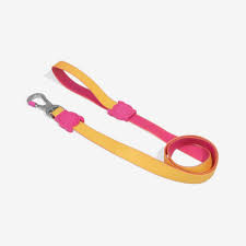 CORREA ZEEDOG NEOPRO LYRA LEASH SMALL
