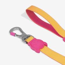 CORREA ZEEDOG NEOPRO LYRA LEASH SMALL