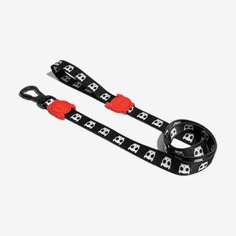 CORREA ZEEDOG SKULL SMALL