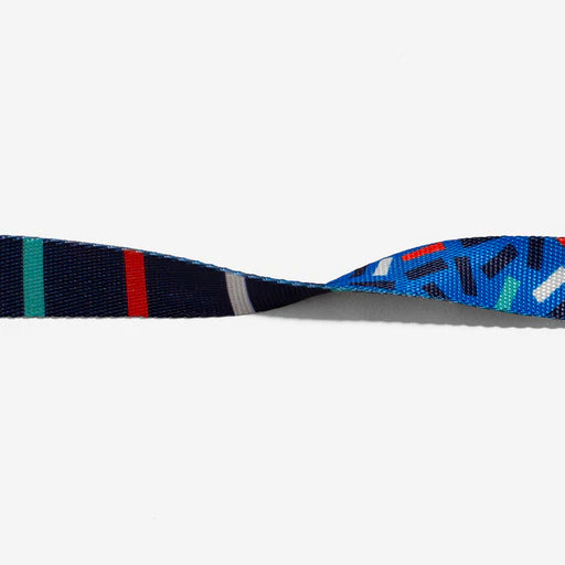 COLLAR  ZEEDOG ATLANTA  SMALL