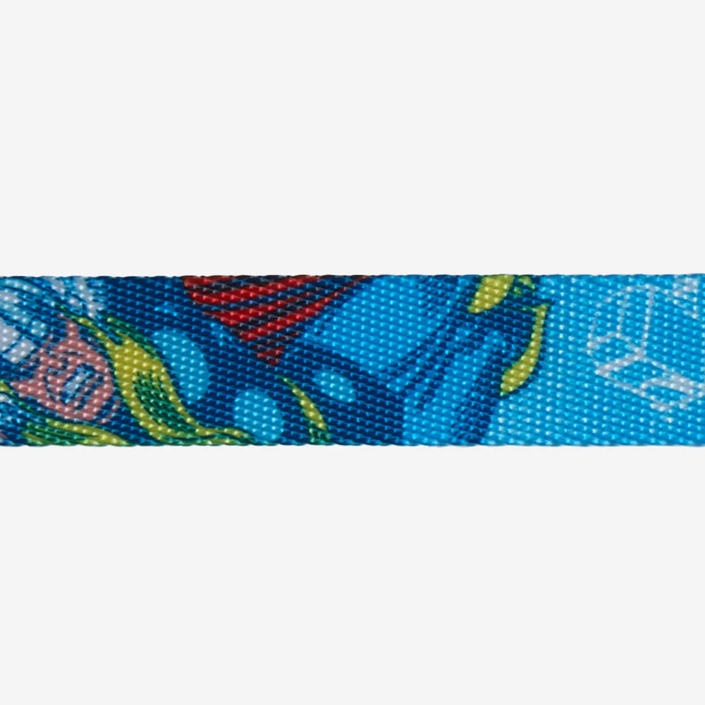 COLLAR MARVEL  ZEEDOG THOR SMALL