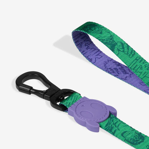 CORREA ZEEDOG MARVEL HULK SMALL