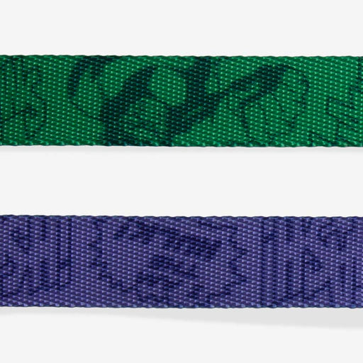 CORREA ZEEDOG MARVEL HULK SMALL