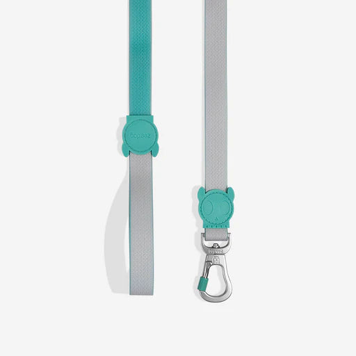 CORREA ZEEDOG NEOPRO TIDAL LARGE